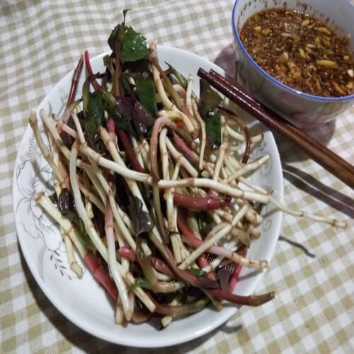 家常凉拌折耳根