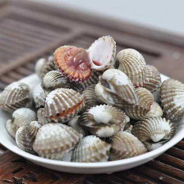 美味的烫血蛤