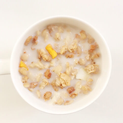 美味食品椰子粉燕麦片