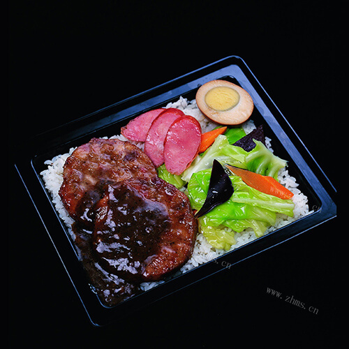 营养的牛肉饼饭 