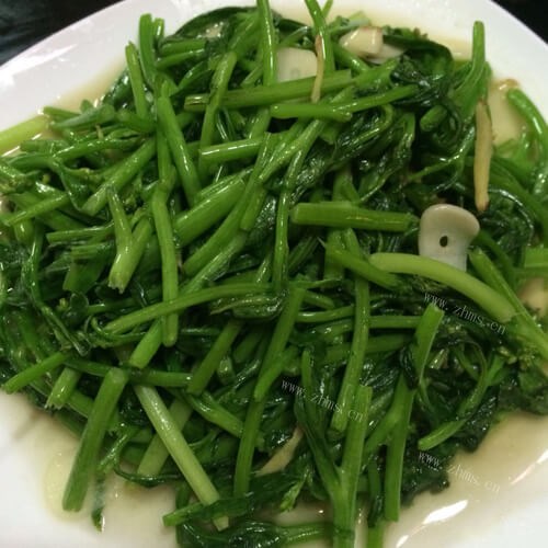 自制炒苦菜 