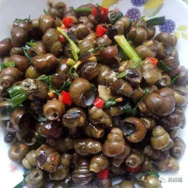爽口的辣炒石螺 