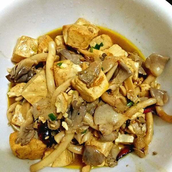 美味的苹菇烧豆腐