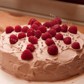 美味的蔓越莓牛奶小蛋糕