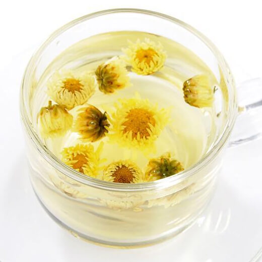 清热去火菊花茶