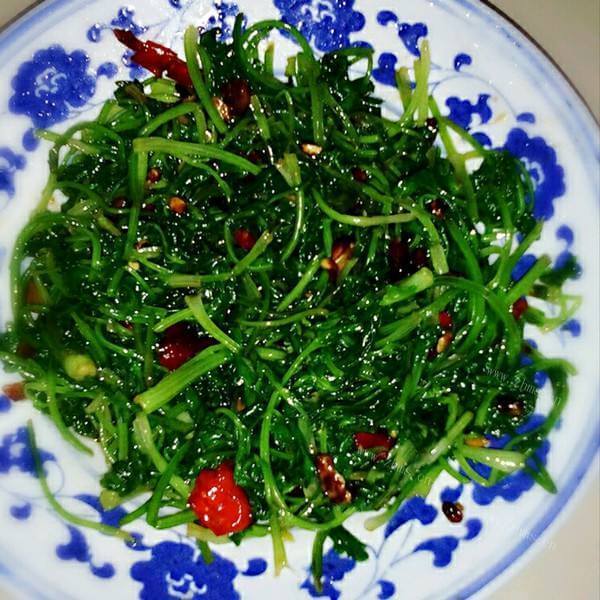 有特点的凉拌苦菜