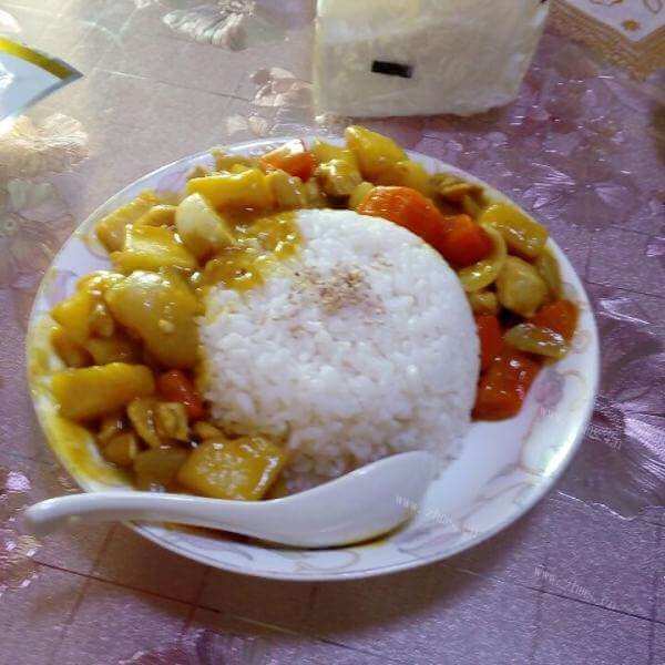 美味的木瓜土豆咖喱鸡