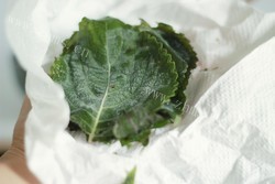 清香的紫苏饭团做法图解1)