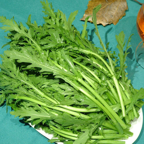 爽口的麻汁茼蒿