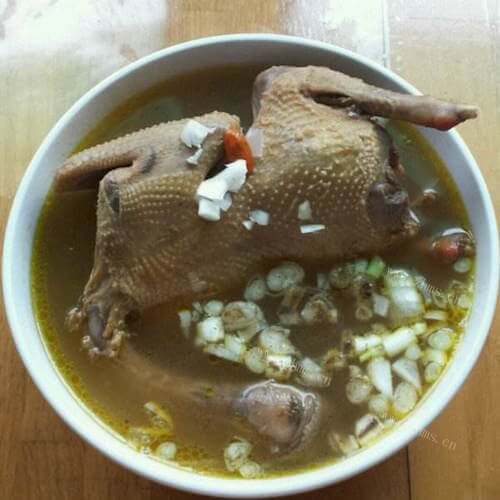 美味炖鸽子汤