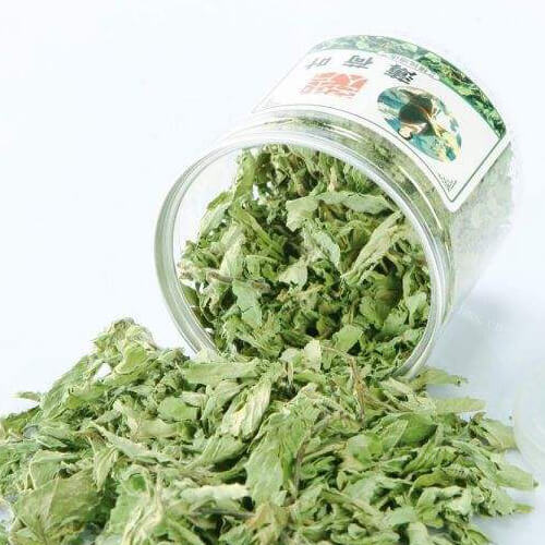 清爽的薄荷叶干