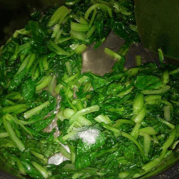 家常菜清炒鸡毛菜做法图解4)