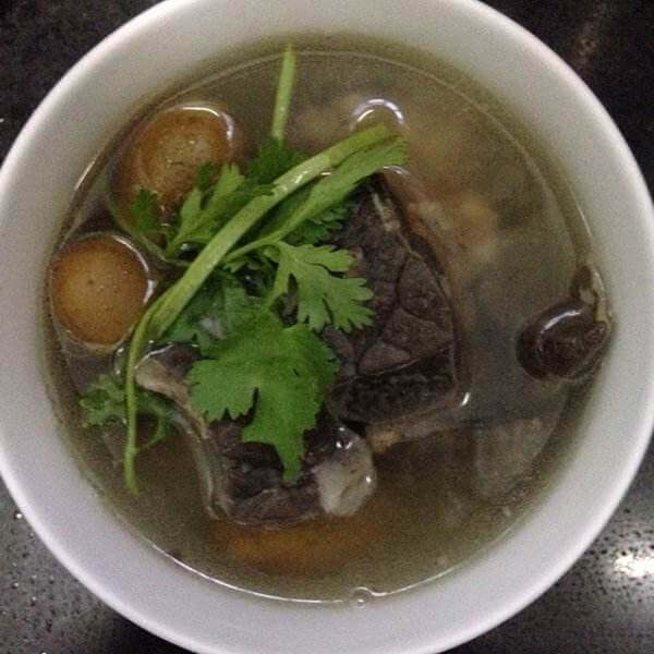 海参橄榄鸡汤
