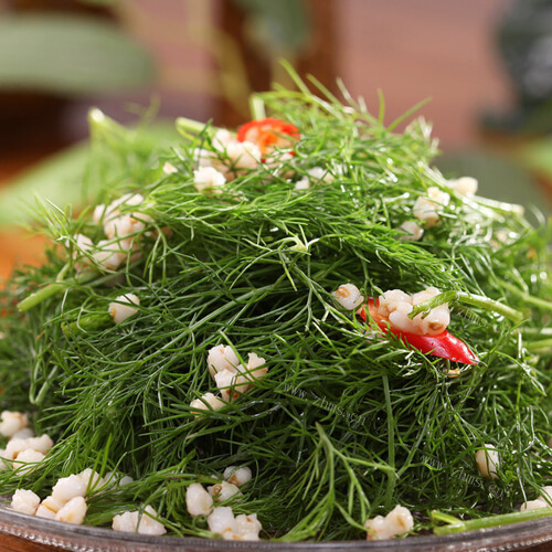 美味可口的凉拌茴香菜