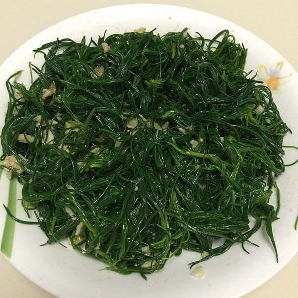 美味的凉拌猪毛菜