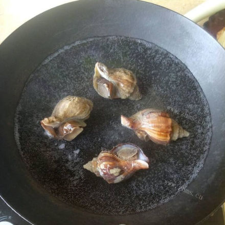 美味的清水煮海螺