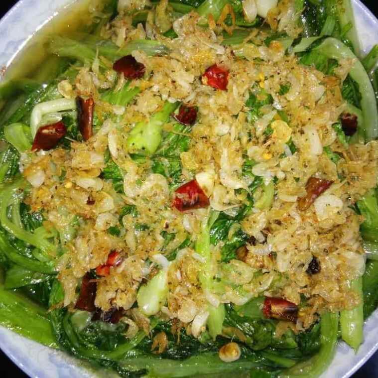 好吃的虾皮油麦菜