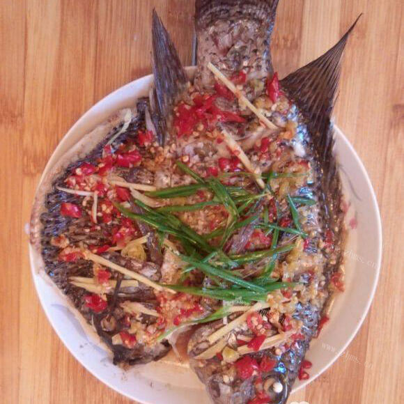 美味的双椒蒸非洲鲫鱼