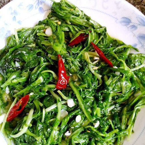 美味的蒜蓉苦菊