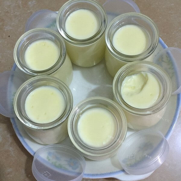 美味的牛油果牛奶布丁