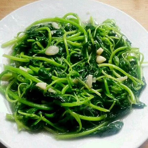 美味的蒜泥米苋 