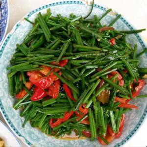 美味韭菜肉丝辣椒小炒