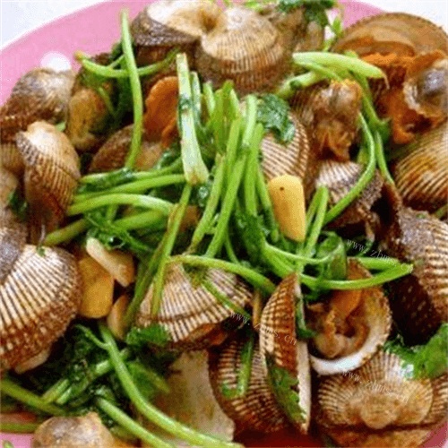 美味的家常炒毛蚶