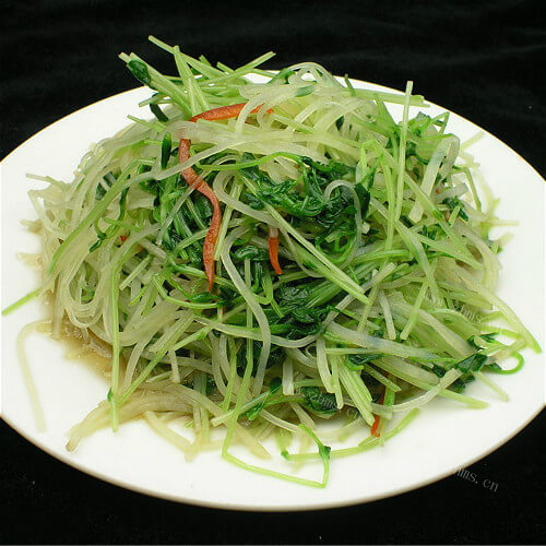 特别的沙土生豆苗