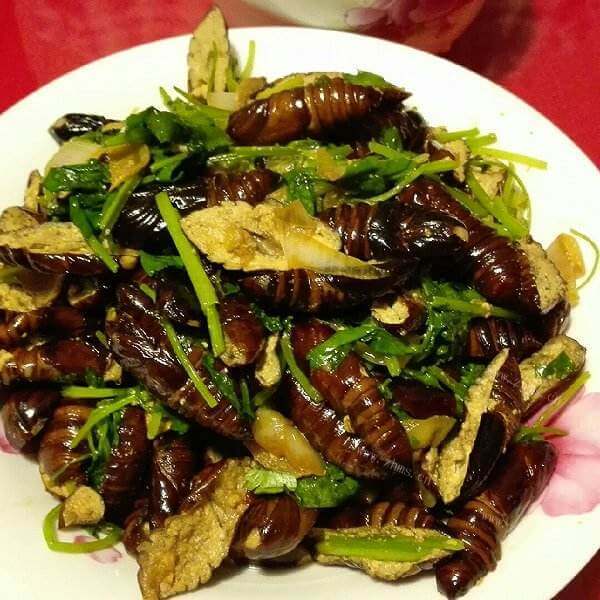 美味营养的蒜薹炒茧蛹