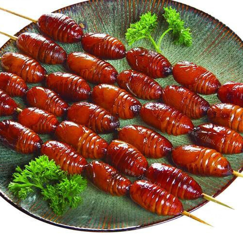 美味的烤蚕蛹