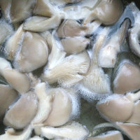 营养均衡的白菜平菇炖鸡块的做法图解二