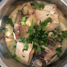 美味的清炖鱼汤的做法