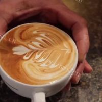 简单基础咖啡拉花的做法图解五