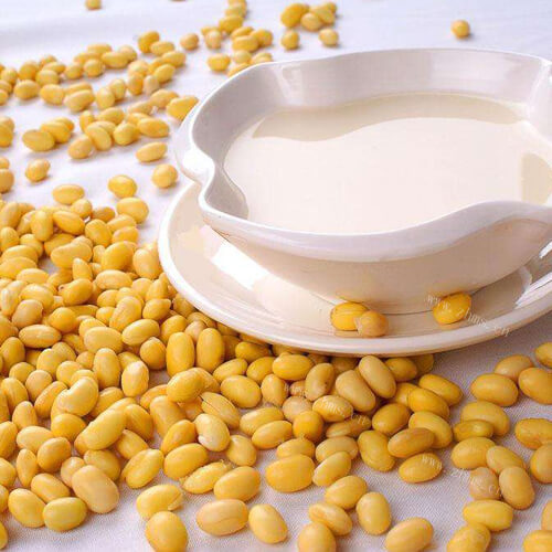 美味的黄豆豆浆