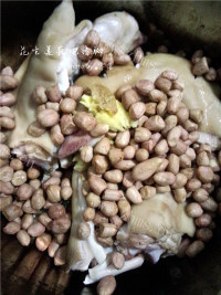 养生好汤花生莲藕炖猪脚做法图解5)