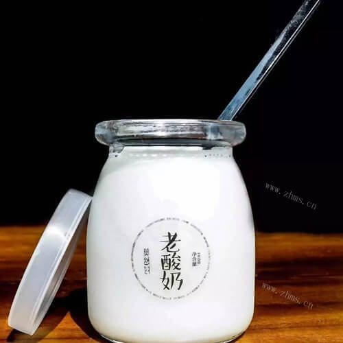 自制老酸奶的做法