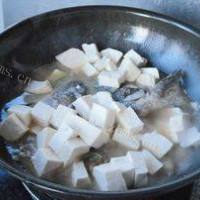 美味豆腐煮鱼头的做法图解八