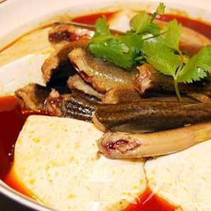 新鲜的泥鳅钻豆腐