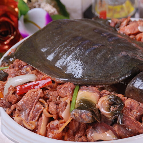 美味的鸡汤炖甲鱼