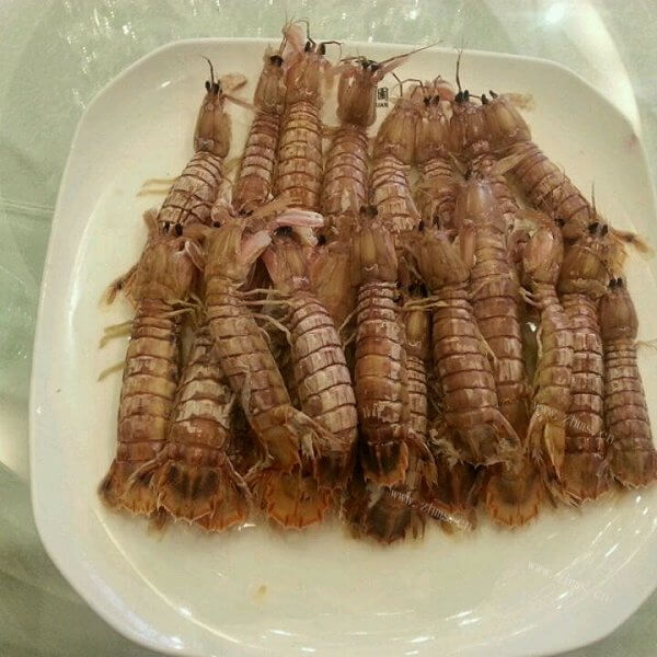 美味清蒸皮皮虾
