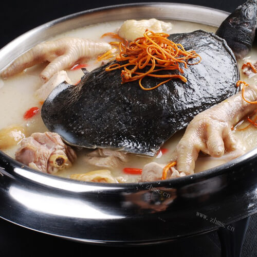 美味的鸡汤炖甲鱼