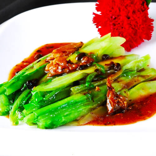 美味的爽口油麦菜 