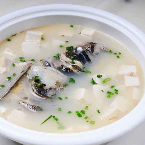家常豆腐鱼头