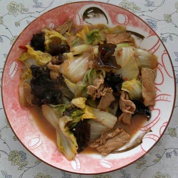 美味鸡肉炖白菜