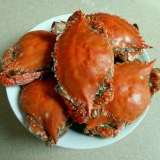 美味的蒸螃蟹的做法 