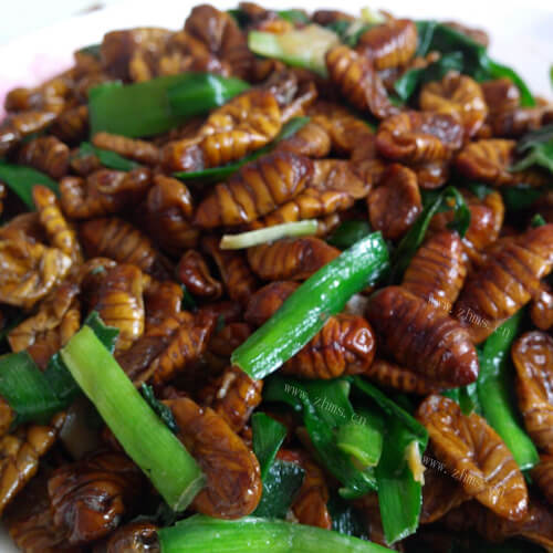 好吃的蚕蛹炒韭菜