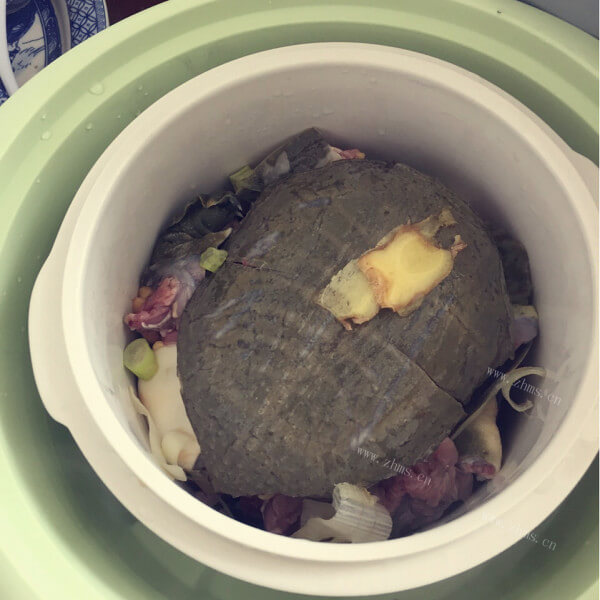 滋补砂锅炖甲鱼