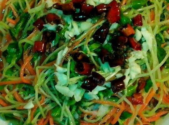 美味黑豆苗拌胡萝卜丝
