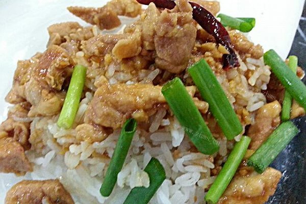 家庭版咸鱼花腩拌饭