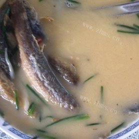 野生泥鳅汤